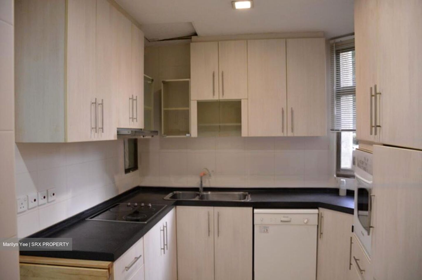 Horizon Towers (D9), Condominium #481677031